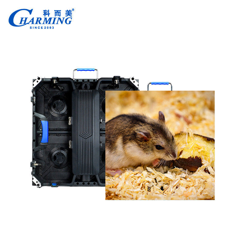 Yüksek Performanslı LED Ekran Video Duvar İşletme Alışveriş Reklam Ekranı 500*500MM Su geçirmez IP65