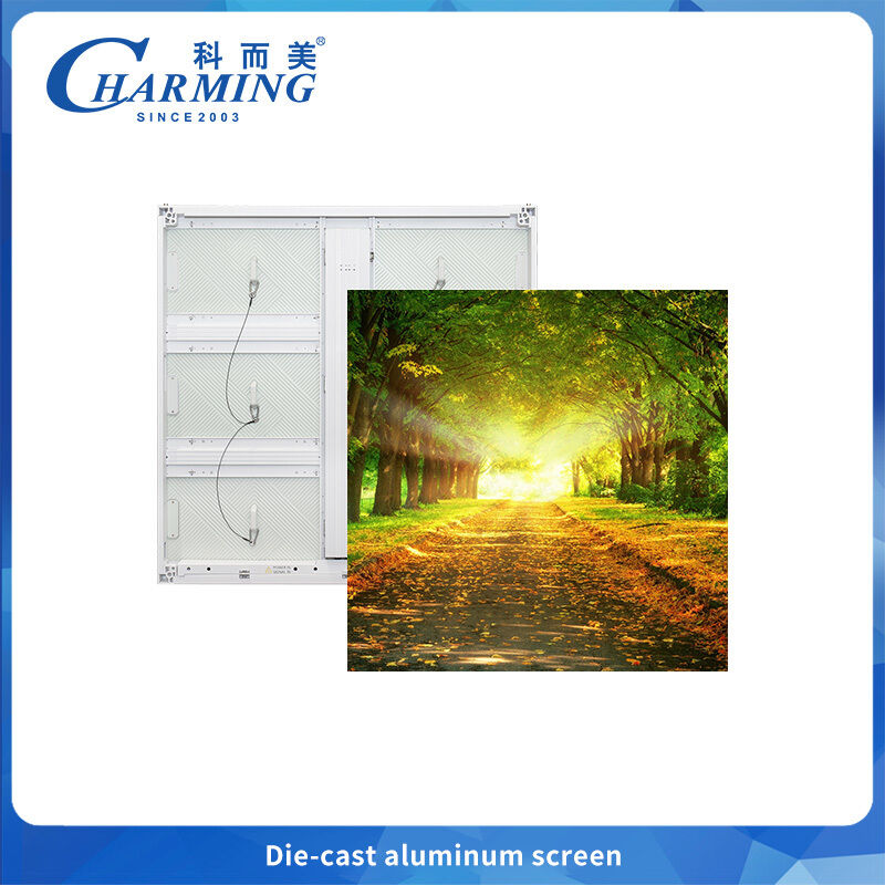 IP65 Su Geçirmez Korumalı ve 220W/m² Enerji Verimliliğine Sahip Dış Mekan Sabit Kurulum LED Ekranı